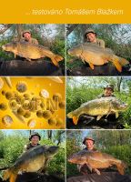TB Baits Vyvážené Boilie Balanced + Atraktor Corn 100 g (2)
